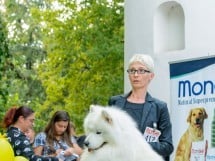 Expoziţie canină