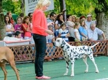 Expoziţie canină