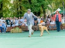 Expoziţie canină