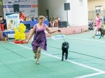 Expoziţie canină