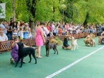 Expoziţie canină