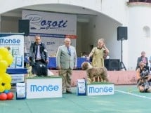 Expoziţie canină