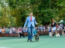 Expoziţie canină