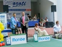 Expoziţie canină