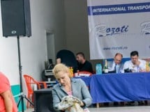 Expoziţie canină