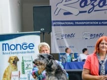 Expoziţie canină