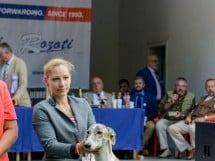 Expoziţie canină