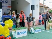 Expoziţie canină