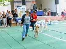 Expoziţie canină