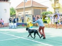 Expoziţie canină