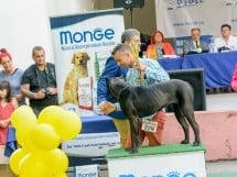 Expoziţie canină