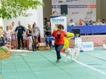 Expoziţie canină