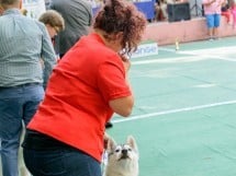 Expoziţie canină