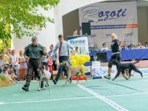 Expoziţie canină