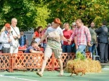 Expoziţie canină