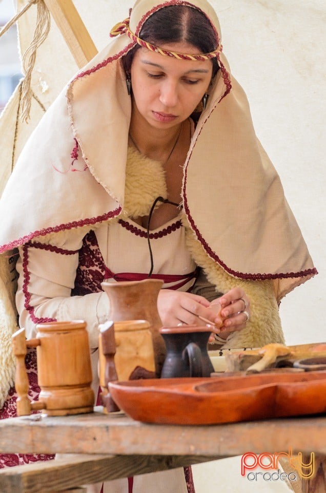 Expoziţie de arme şi armuri, Cetatea Oradea
