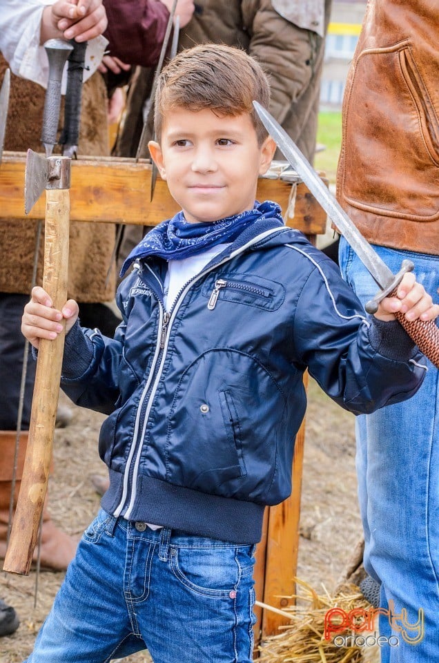 Expoziţie de arme şi armuri, Cetatea Oradea