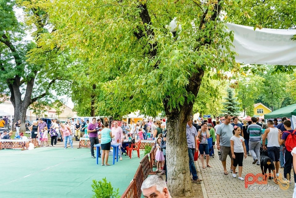 Expoziţie de frumuesţe canină, Oradea