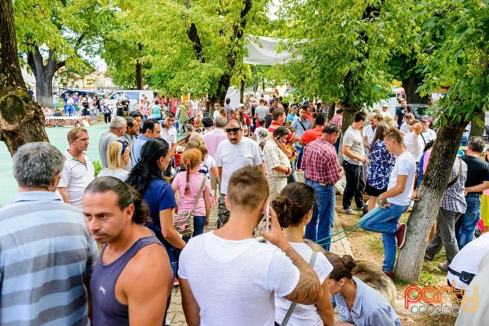 Expoziţie de frumuesţe canină, Oradea