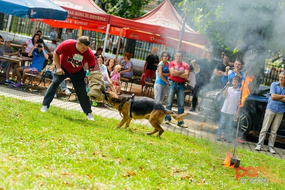 Expoziţie de frumuesţe canină, Oradea