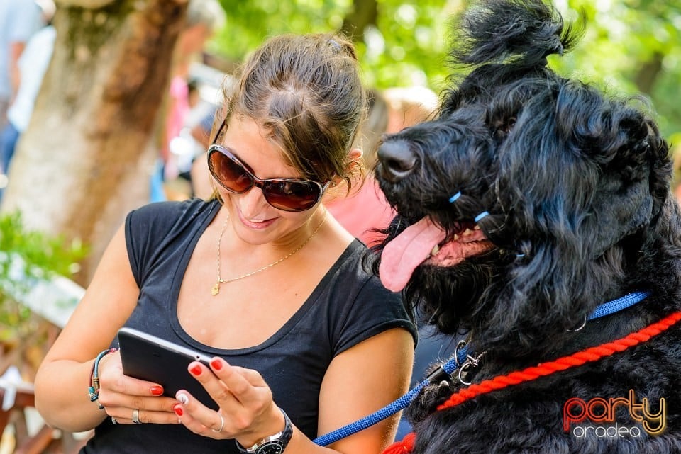 Expoziţie de frumuesţe canină, Oradea