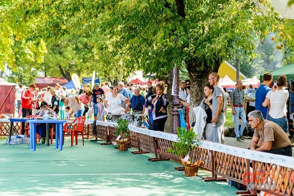 Expoziţie de frumuesţe canină, Oradea