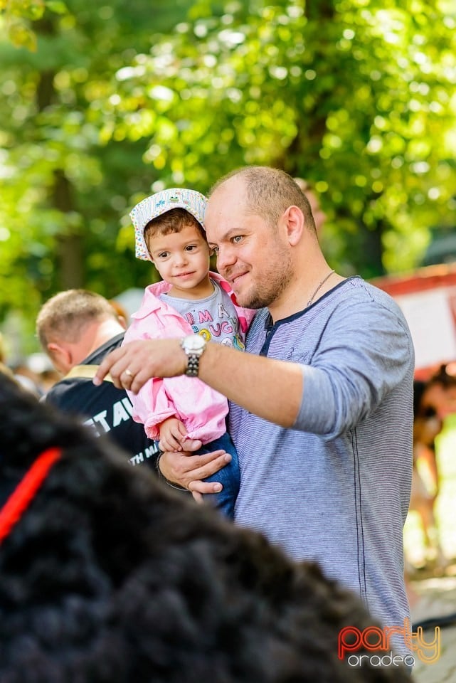 Expoziţie de frumuesţe canină, Oradea