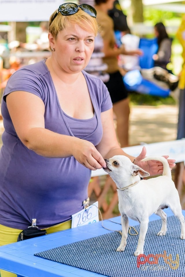 Expoziţie de frumuesţe canină, Oradea