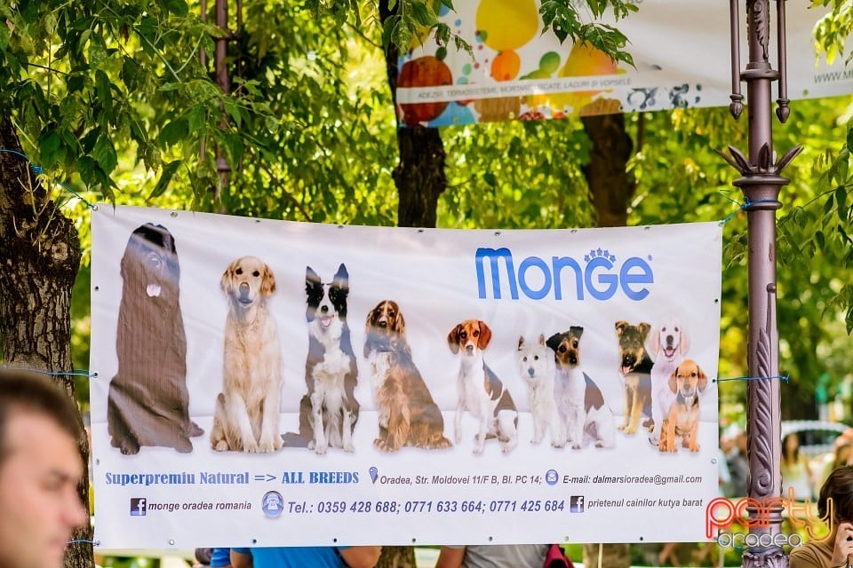 Expoziţie de frumuesţe canină, Oradea