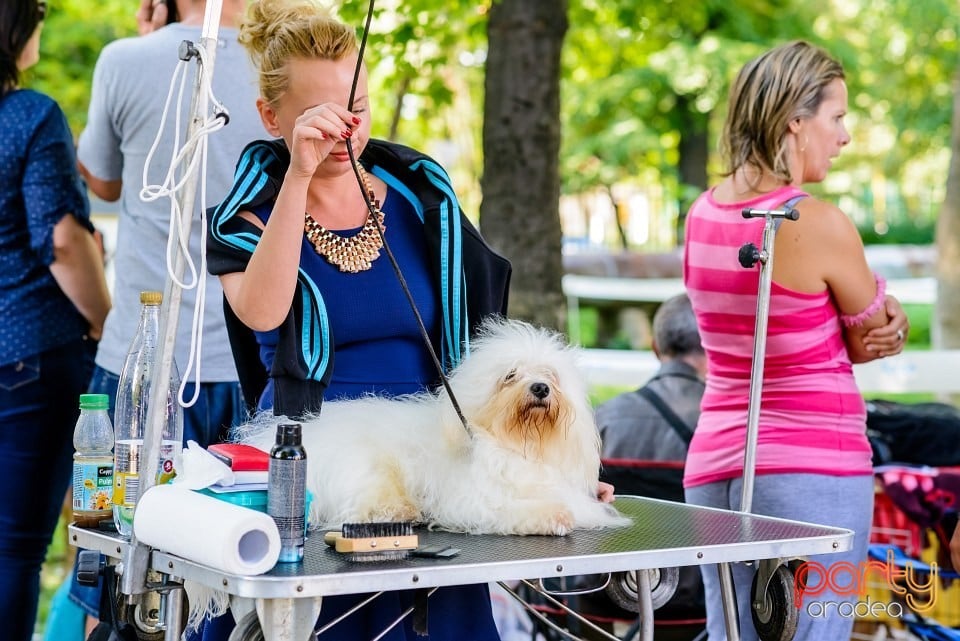 Expoziţie de frumuesţe canină, Oradea