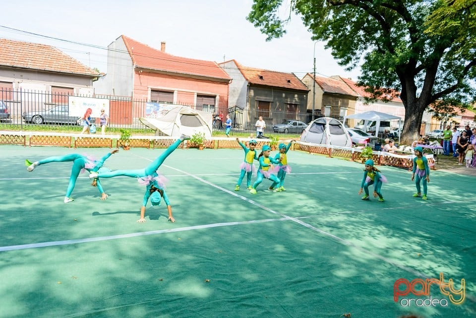 Expoziţie de frumuesţe canină, Oradea