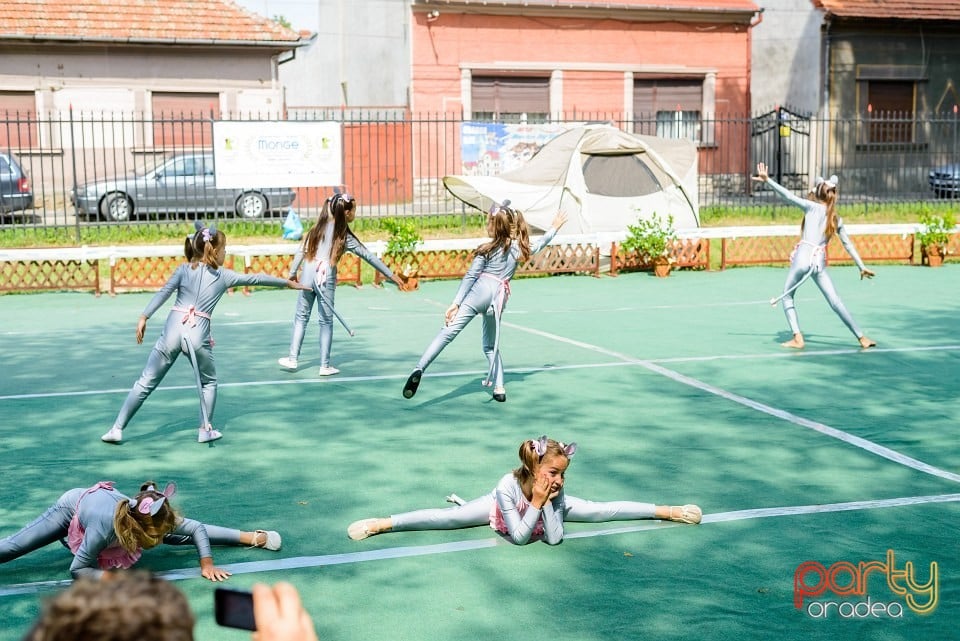 Expoziţie de frumuesţe canină, Oradea