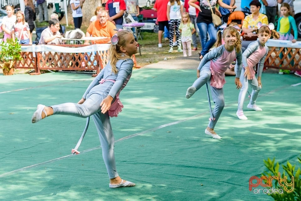 Expoziţie de frumuesţe canină, Oradea