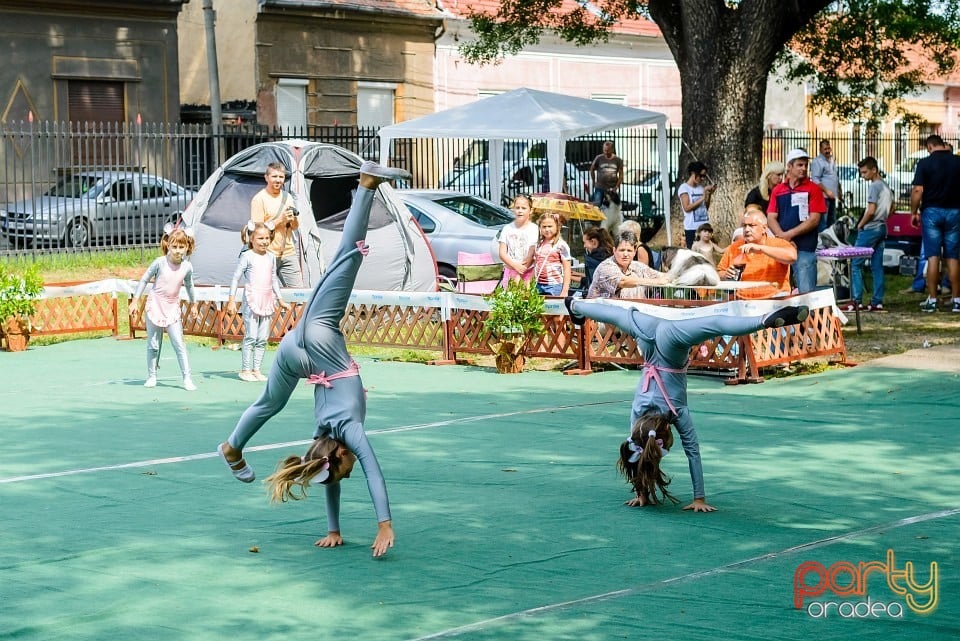 Expoziţie de frumuesţe canină, Oradea