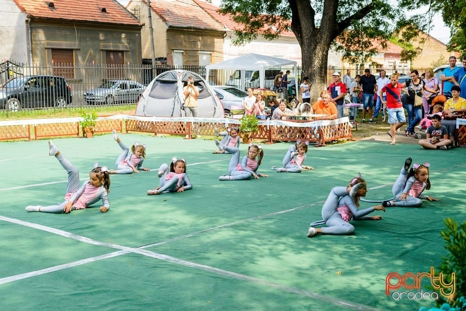 Expoziţie de frumuesţe canină, Oradea