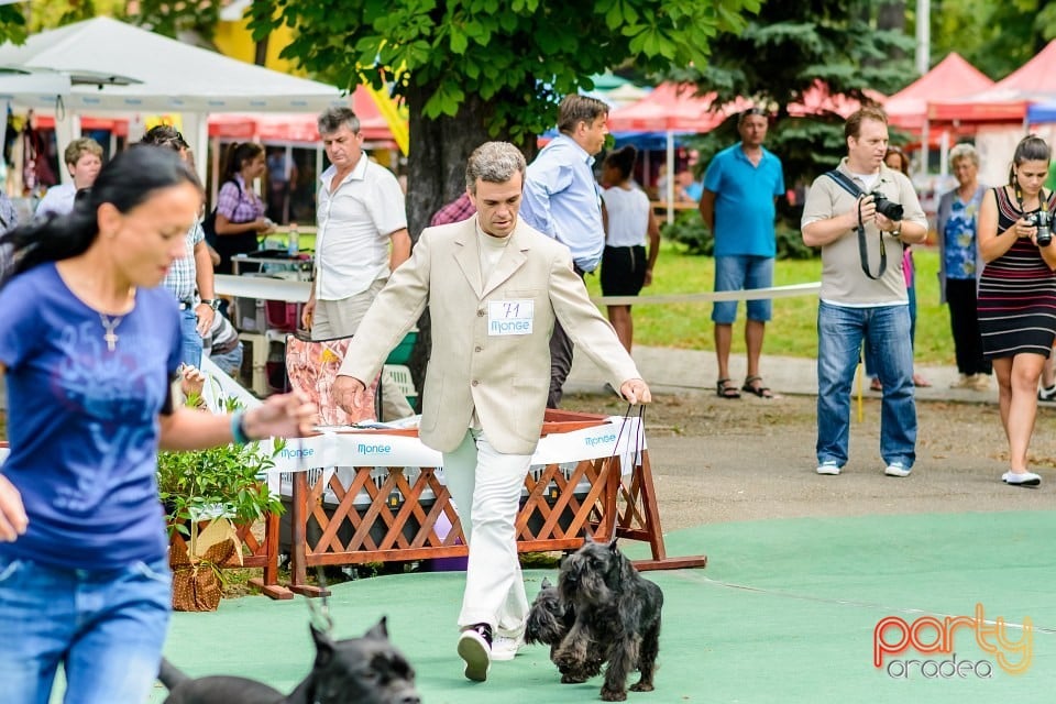 Expoziţie de frumuesţe canină, Oradea