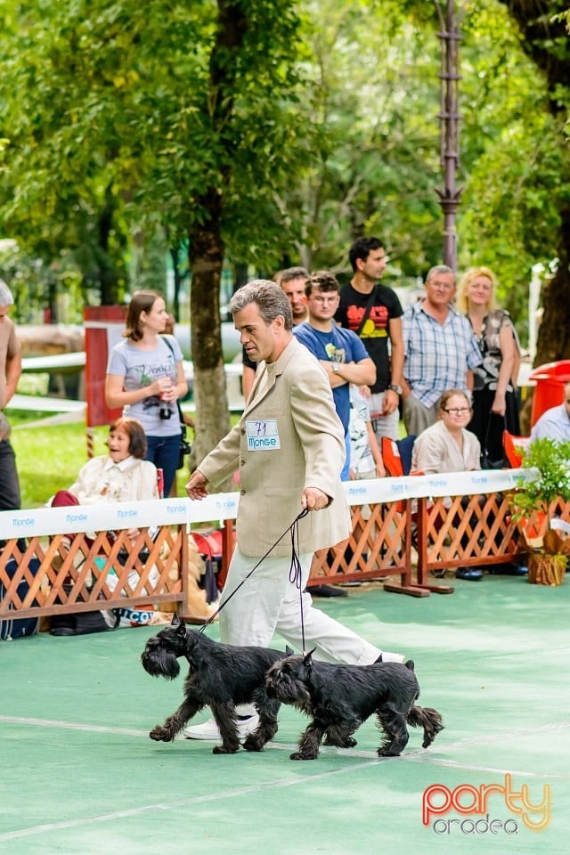 Expoziţie de frumuesţe canină, Oradea