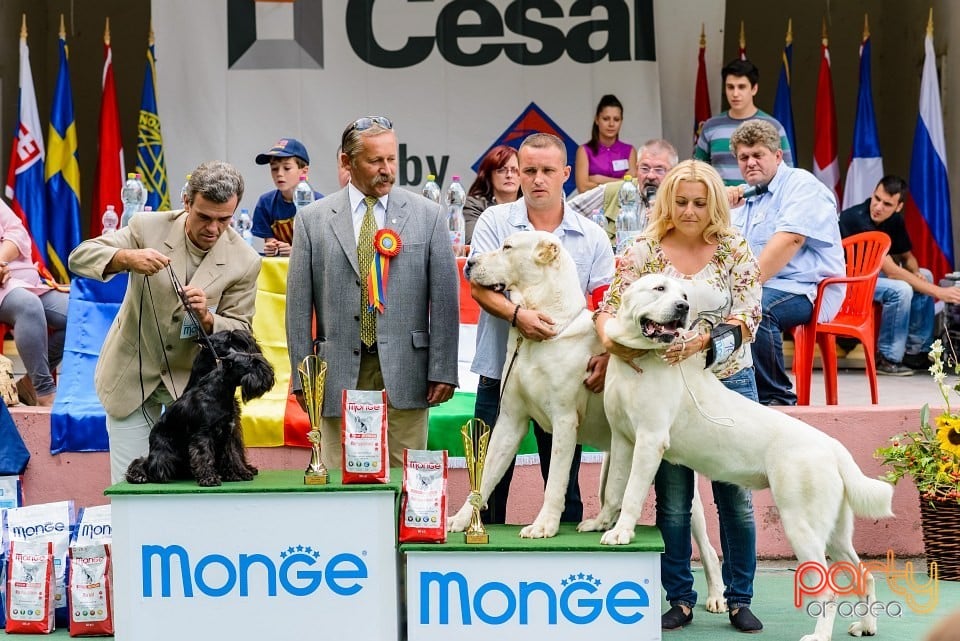 Expoziţie de frumuesţe canină, Oradea