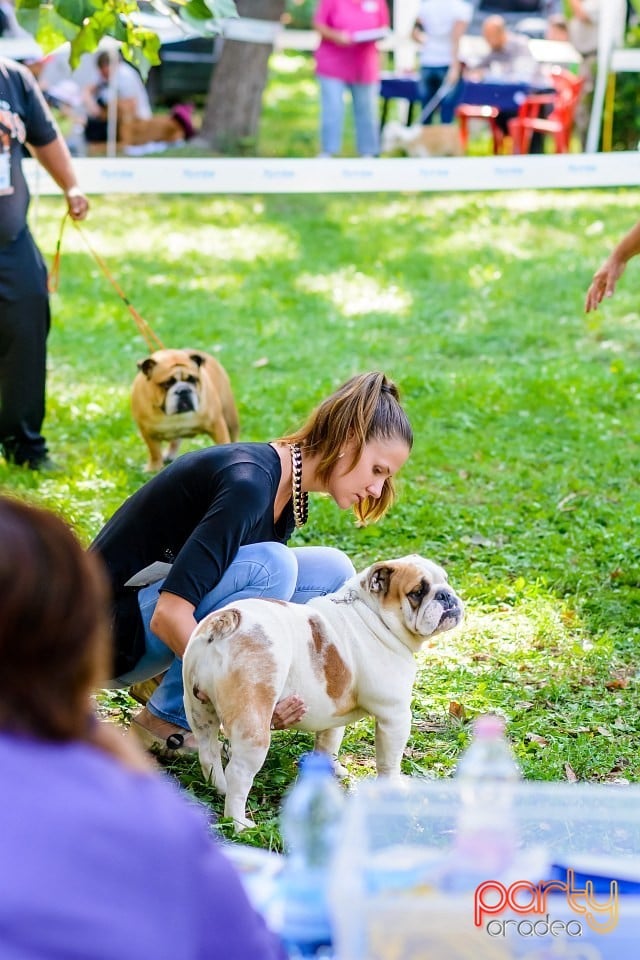 Expoziţie de frumuesţe canină, Oradea