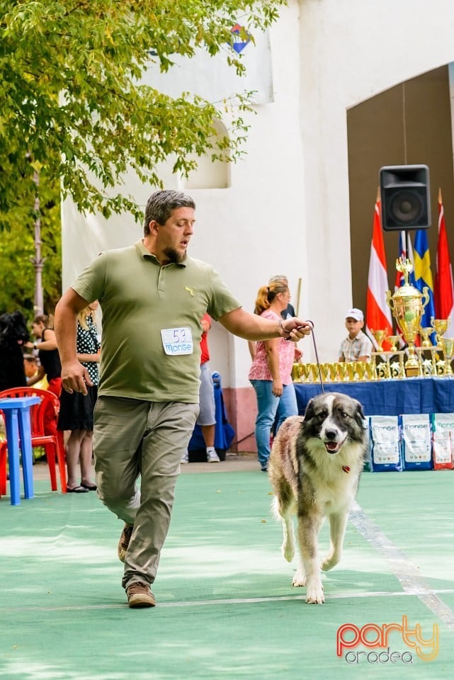 Expoziţie de frumuesţe canină, Oradea