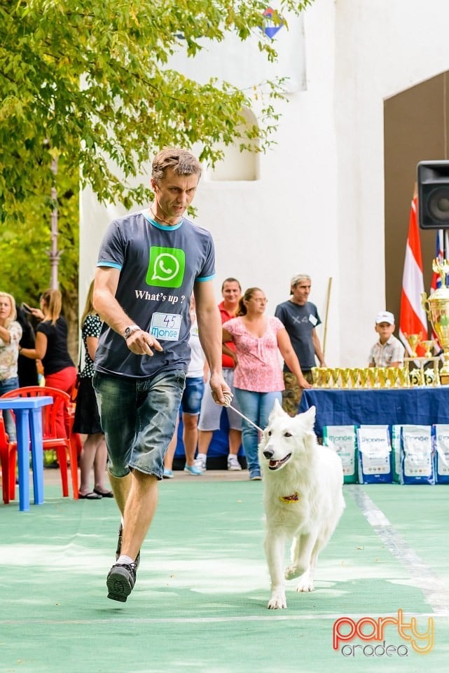 Expoziţie de frumuesţe canină, Oradea