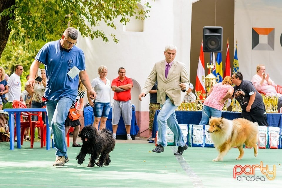 Expoziţie de frumuesţe canină, Oradea