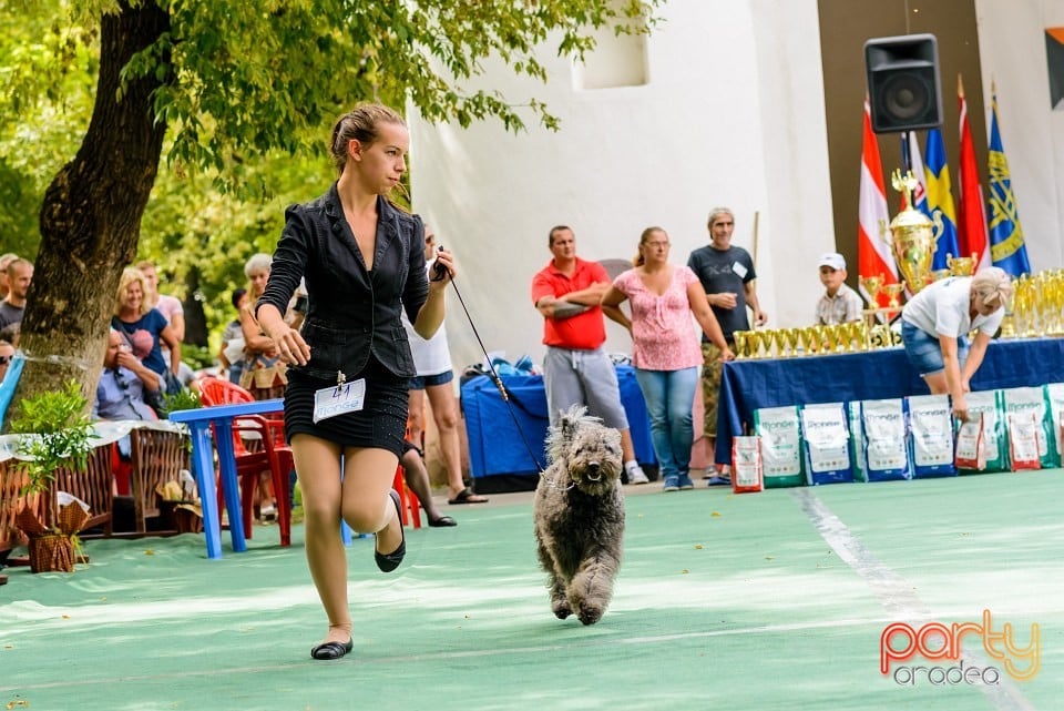 Expoziţie de frumuesţe canină, Oradea