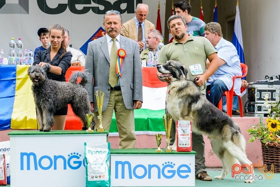 Expoziţie de frumuesţe canină, Oradea