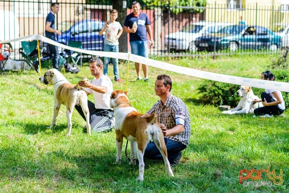 Expoziţie de frumuesţe canină, Oradea