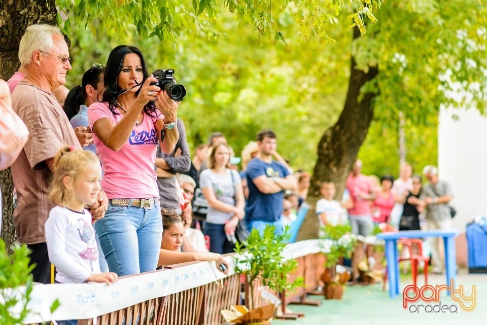 Expoziţie de frumuesţe canină, Oradea