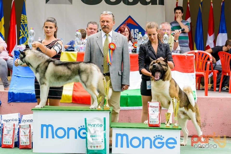 Expoziţie de frumuesţe canină, Oradea