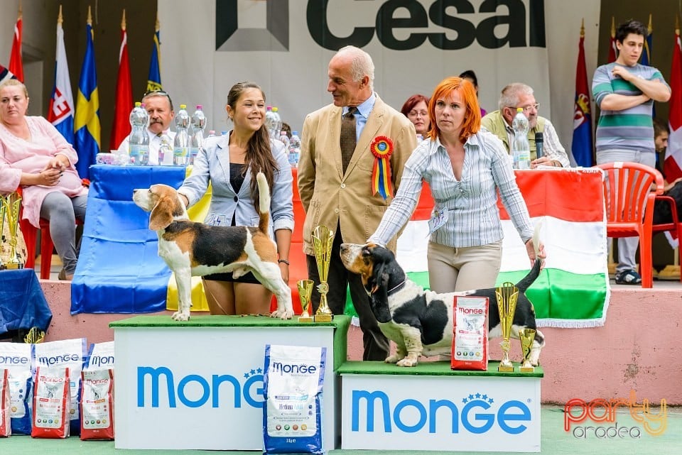 Expoziţie de frumuesţe canină, Oradea