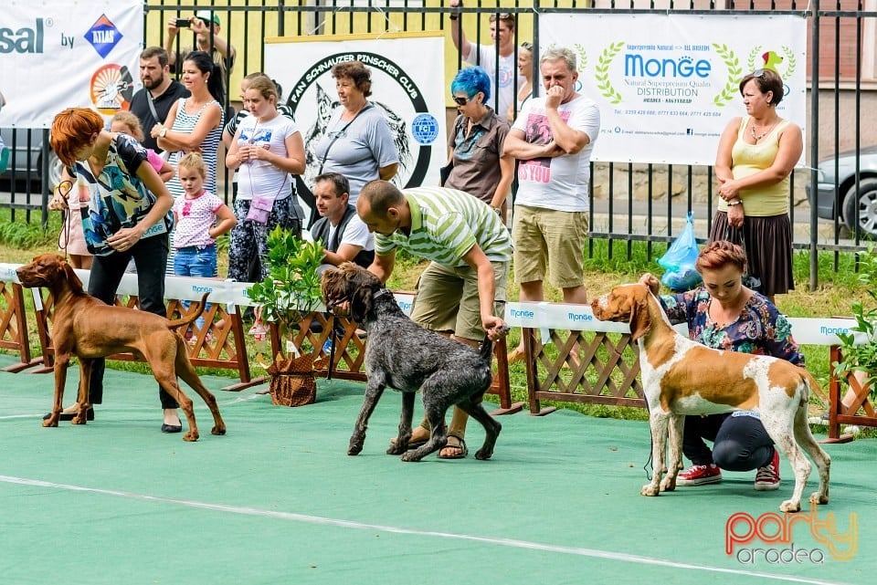 Expoziţie de frumuesţe canină, Oradea