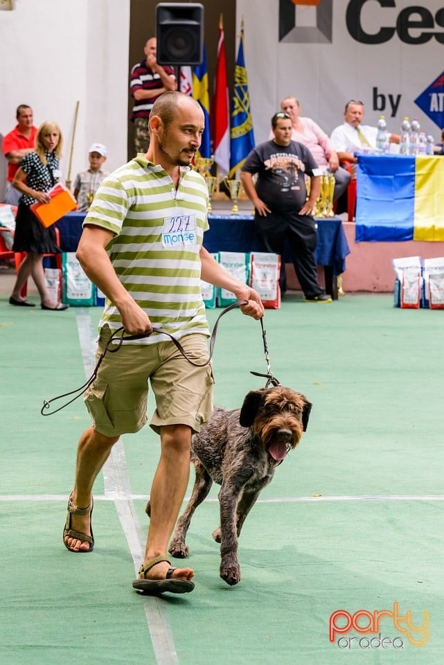 Expoziţie de frumuesţe canină, Oradea